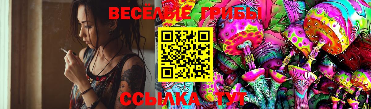 Галлюциногенные грибы MAGIC MUSHROOMS Владивосток