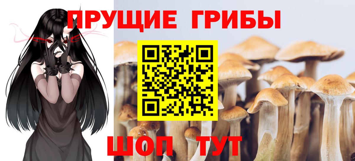 Псилоцибиновые грибы ЛСД  Вход с VPN  Владивосток 
